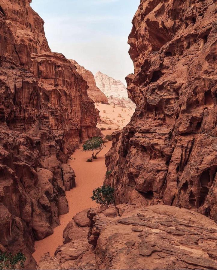 Wadi Rum Camp Екстериор снимка