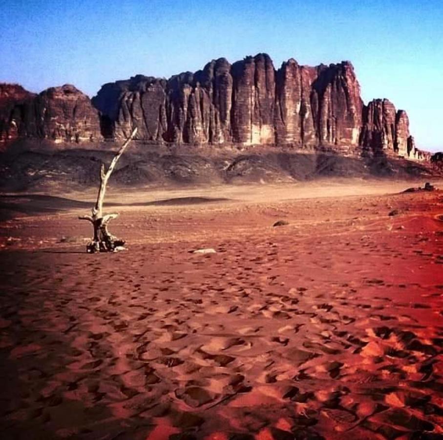 Wadi Rum Camp Екстериор снимка